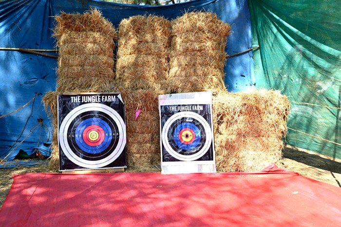 Chikoo Festival Bordi - 2024